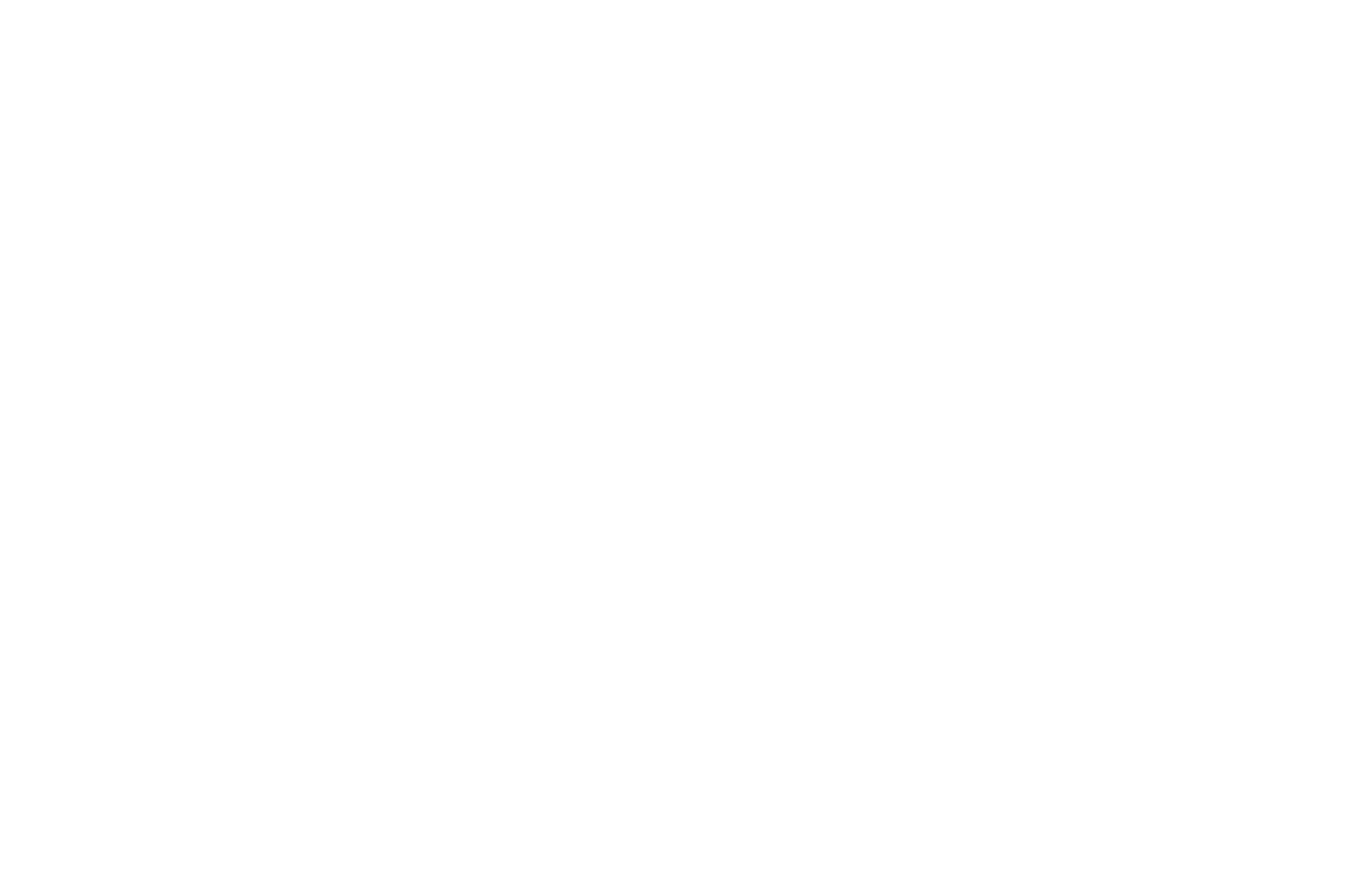 Brogsstore